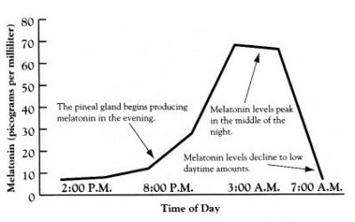 How to Increase Low Melatonin Levels