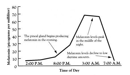 How to Increase Low Melatonin Levels